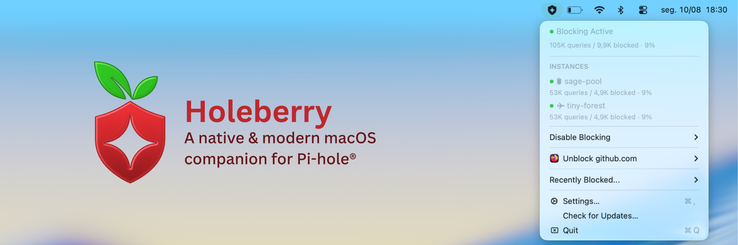 Holeberry - Le Pi-hole dans la barre de menus du Mac holeberry le pi hole dans la barre de menus du mac
