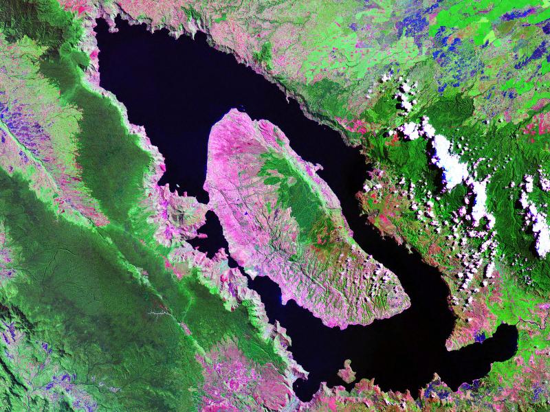 mount toba eruption doesn't seem like it could nearly kill our species